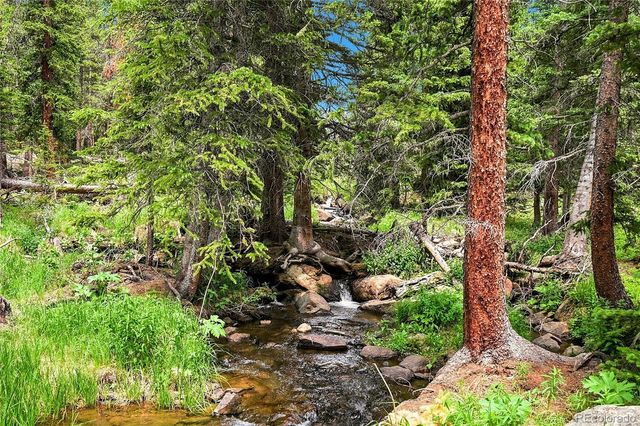 353 Brook Drive, Idaho Springs, CO 80452