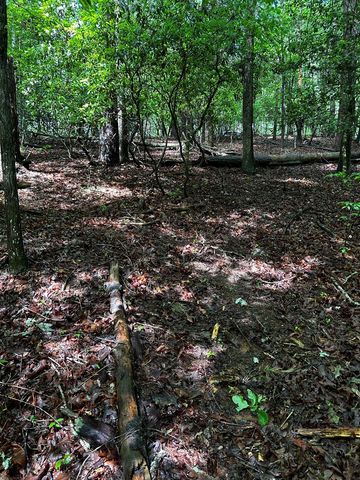 00 Lazy River Lane, Ellijay, GA 30540