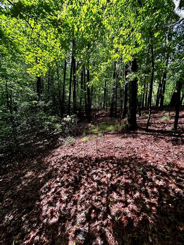00 Lazy River Lane, Ellijay, GA 30540