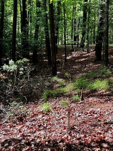 00 Lazy River Lane, Ellijay, GA 30540