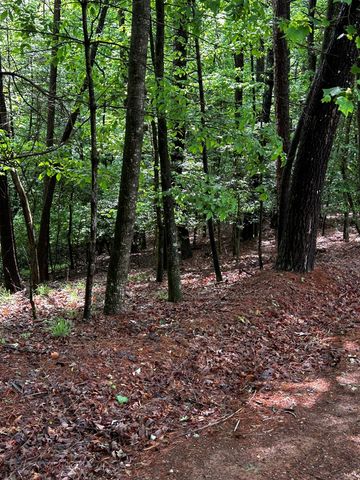 00 Lazy River Lane, Ellijay, GA 30540