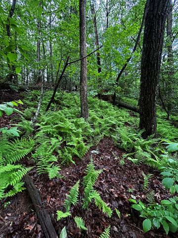 00 Lazy River Lane, Ellijay, GA 30540