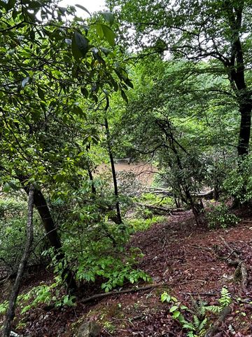 00 Lazy River Lane, Ellijay, GA 30540