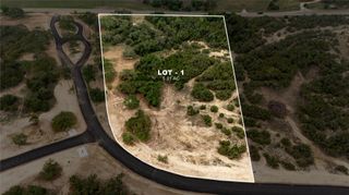 LOT 1 Ranch Road 165, Blanco, TX 78606