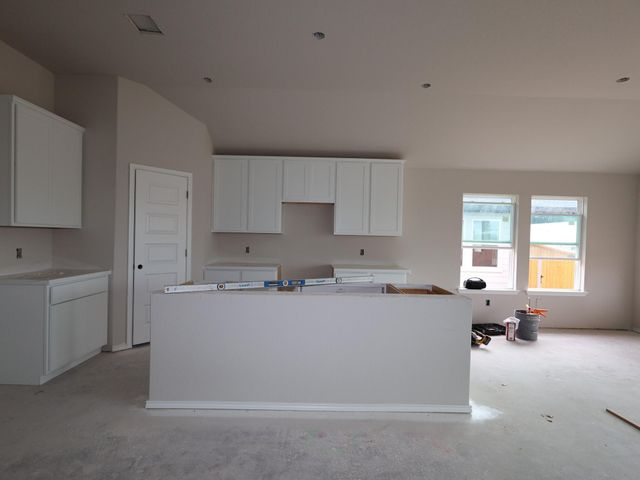 20009 Hirono DR, Manor, TX 78653