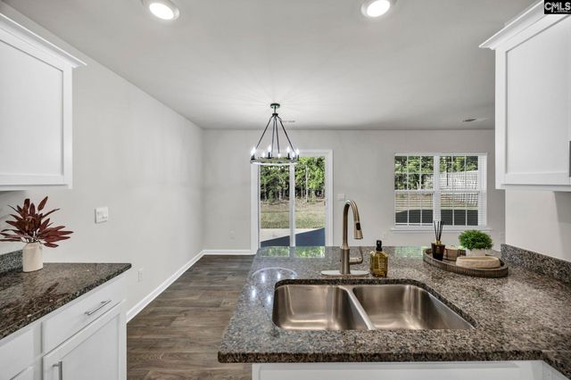 184 RUSHTON Drive, Chapin, SC 29036