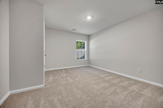 184 RUSHTON Drive, Chapin, SC 29036