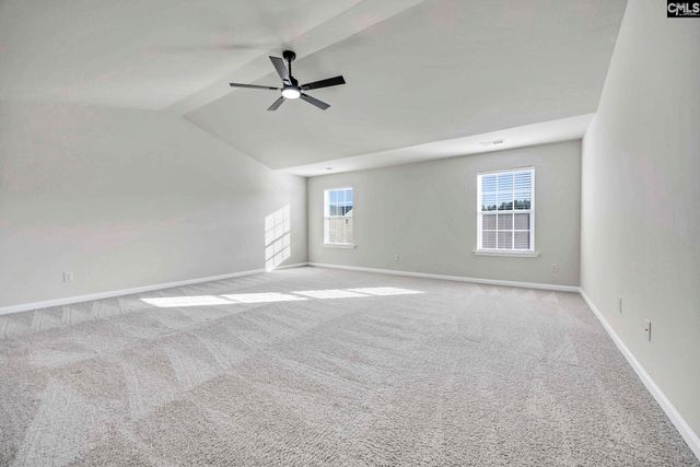 184 RUSHTON Drive, Chapin, SC 29036