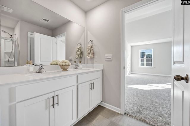 184 RUSHTON Drive, Chapin, SC 29036