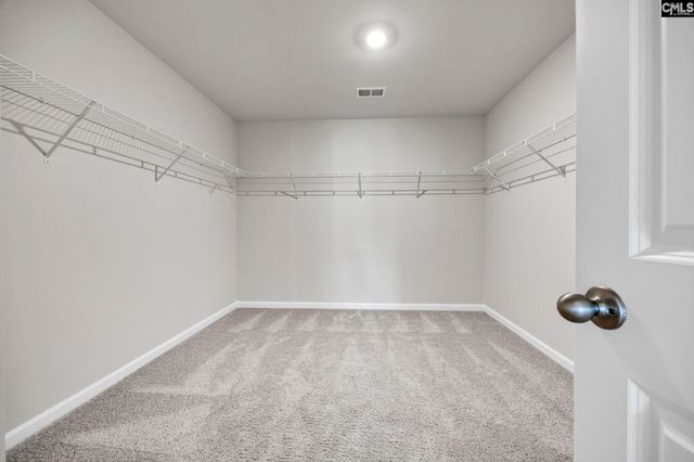 184 RUSHTON Drive, Chapin, SC 29036