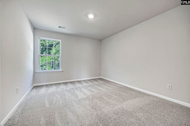 184 RUSHTON Drive, Chapin, SC 29036