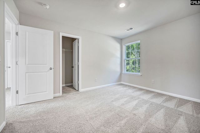 184 RUSHTON Drive, Chapin, SC 29036