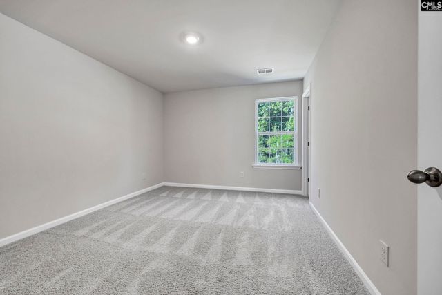 184 RUSHTON Drive, Chapin, SC 29036