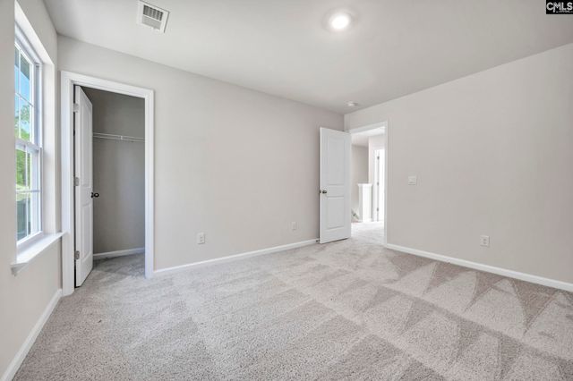 184 RUSHTON Drive, Chapin, SC 29036