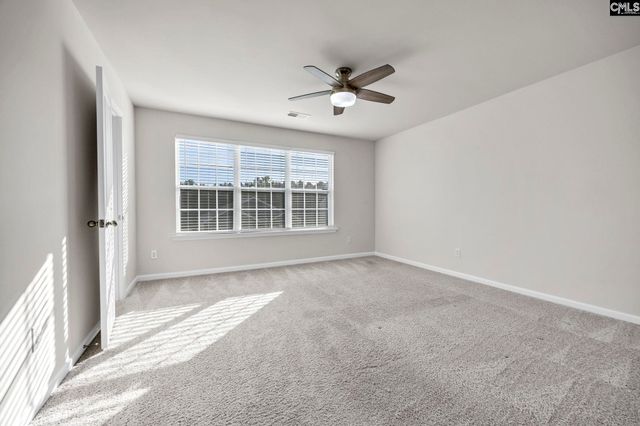 184 RUSHTON Drive, Chapin, SC 29036