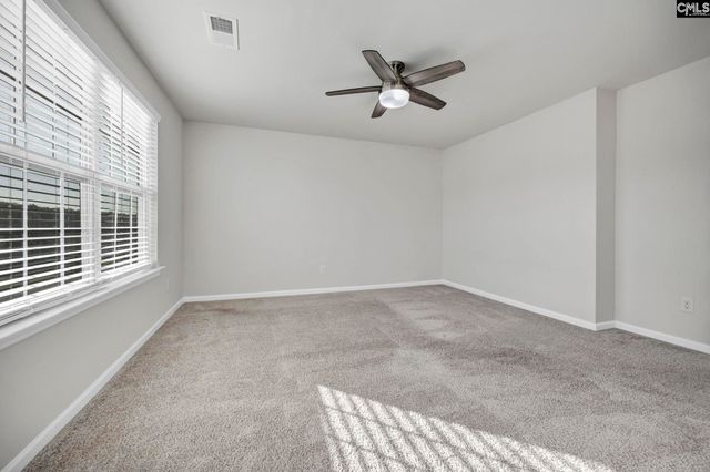 184 RUSHTON Drive, Chapin, SC 29036