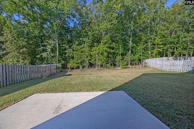 184 RUSHTON Drive, Chapin, SC 29036