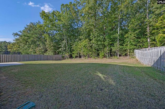 184 RUSHTON Drive, Chapin, SC 29036