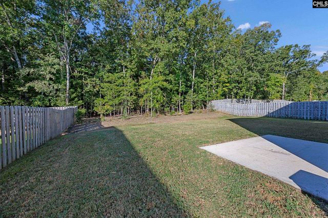 184 RUSHTON Drive, Chapin, SC 29036