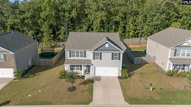 184 RUSHTON Drive, Chapin, SC 29036