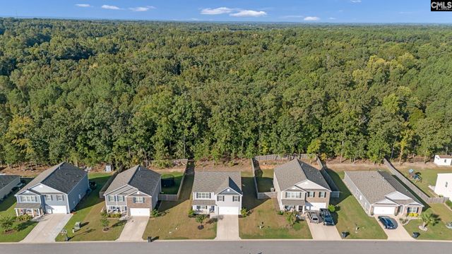 184 RUSHTON Drive, Chapin, SC 29036