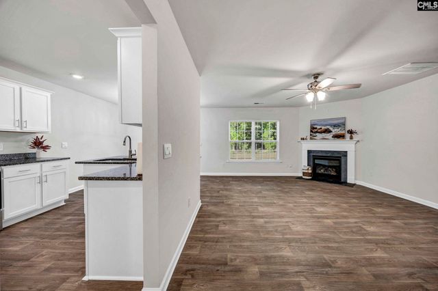 184 RUSHTON Drive, Chapin, SC 29036