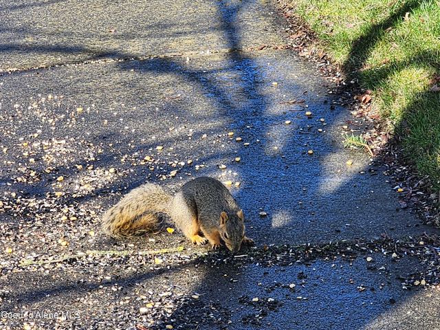 6714 N CALISPEL DR, Coeur D'alene, ID 83815