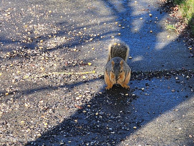 6714 N CALISPEL DR, Coeur D'alene, ID 83815