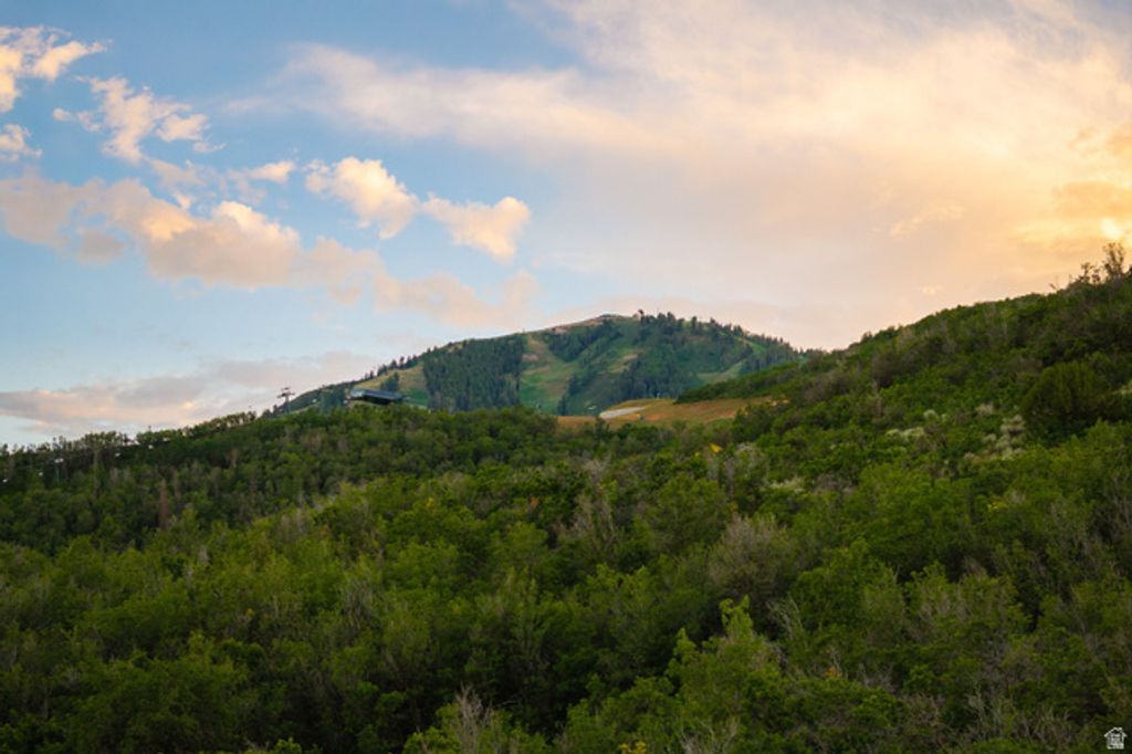 10102 N DROMMEN CT #R-02, Park City, UT 84060 — photo 3