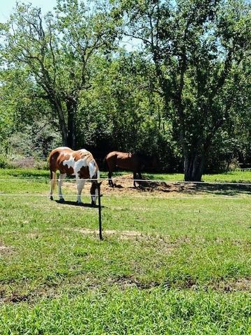 LT 1 24, Rock Island, TX 77470