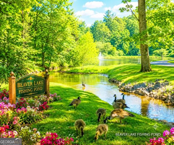 209 Pinecrest Court, Ellijay, GA 30540