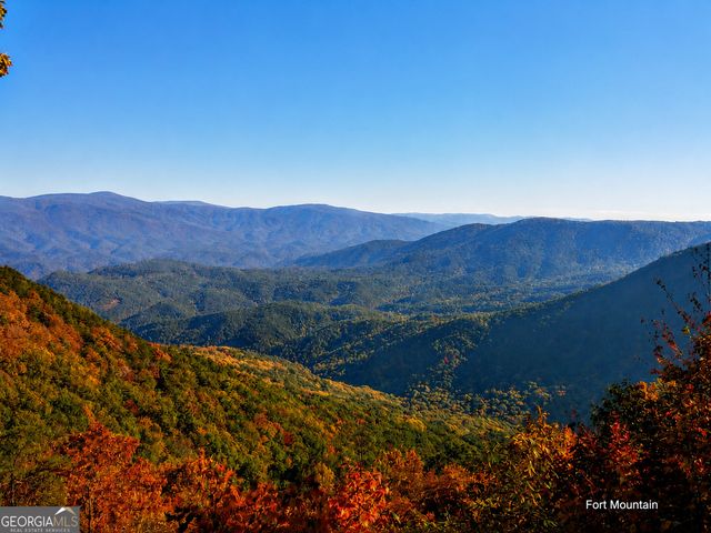 209 Pinecrest Court, Ellijay, GA 30540