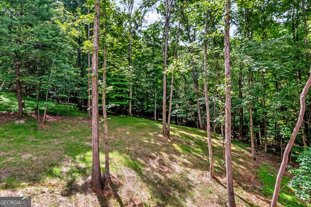 209 Pinecrest Court, Ellijay, GA 30540