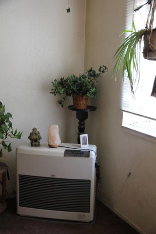 50 Patterson Avenue, Loyalton, CA 96118