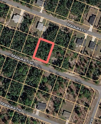 MALAUKA TRAIL, Ocklawaha, FL 32179