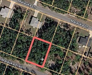 MALAUKA TRAIL, Ocklawaha, FL 32179