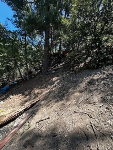 1102 Chateau, Crestline, CA 92325