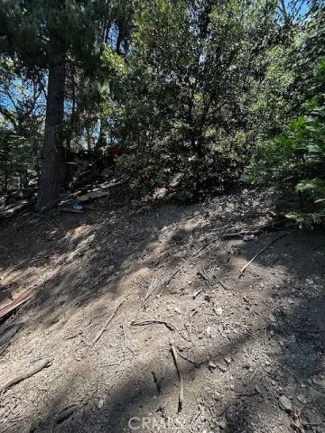 1102 Chateau, Crestline, CA 92325