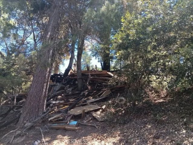 1102 Chateau, Crestline, CA 92325