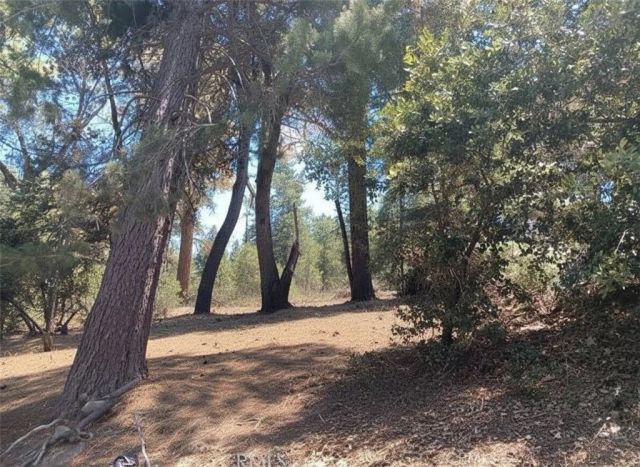 1102 Chateau, Crestline, CA 92325