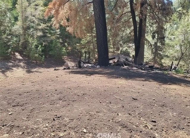1102 Chateau, Crestline, CA 92325