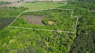 TBD County Road 1143, Daingerfield, TX 75638