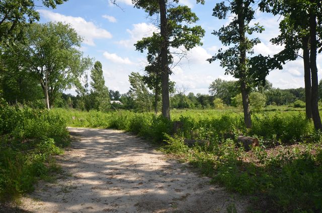 230 Majestic Oak Court, Lake Forest, IL 60045