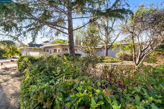 1680 Lilac Dr., Walnut Creek, CA 94595