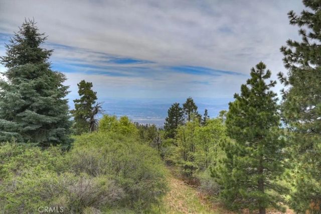 2489 Spring Oak, Running Springs, CA 92382