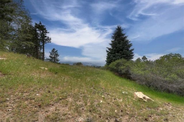 2489 Spring Oak, Running Springs, CA 92382