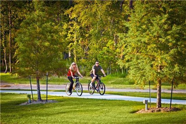 91 S Downy Willow Circle, Spring, TX 77382