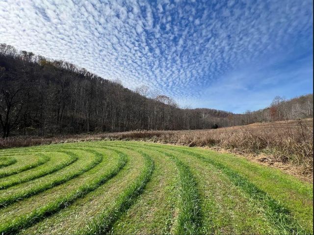 790 McSwain Branch Road, Irvine, KY 40336