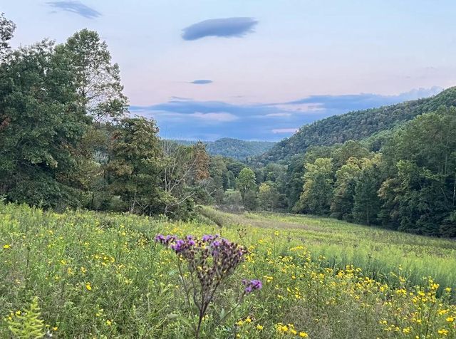 790 McSwain Branch Road, Irvine, KY 40336