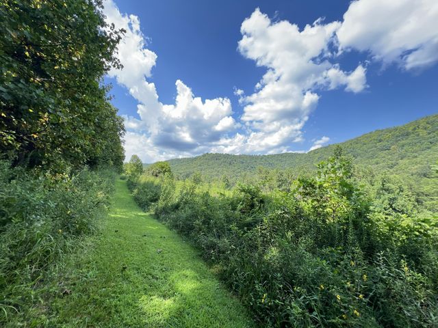 790 McSwain Branch Road, Irvine, KY 40336